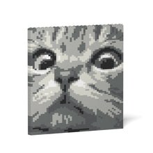 Cat Eyes Brick Painting 02S-M02