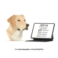 Real size of the Labrador Bust 01 next to a 13-inch tablet