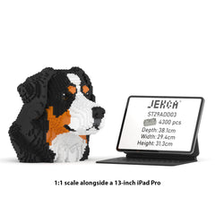 Real size of the Bernese Mountain Dog Bust 01 next to a 13-inch tablet