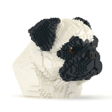 Pug Bust 01