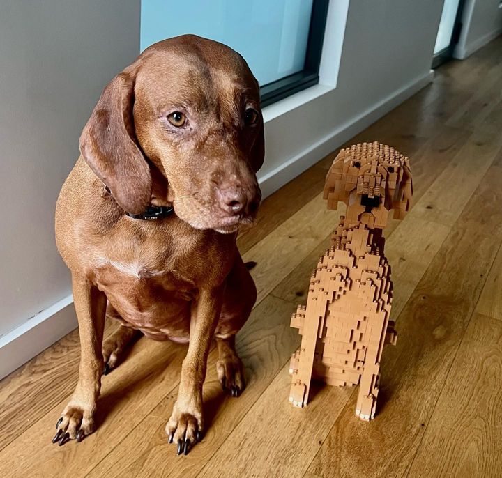 Real customer dog sitting next to its custom brick twin